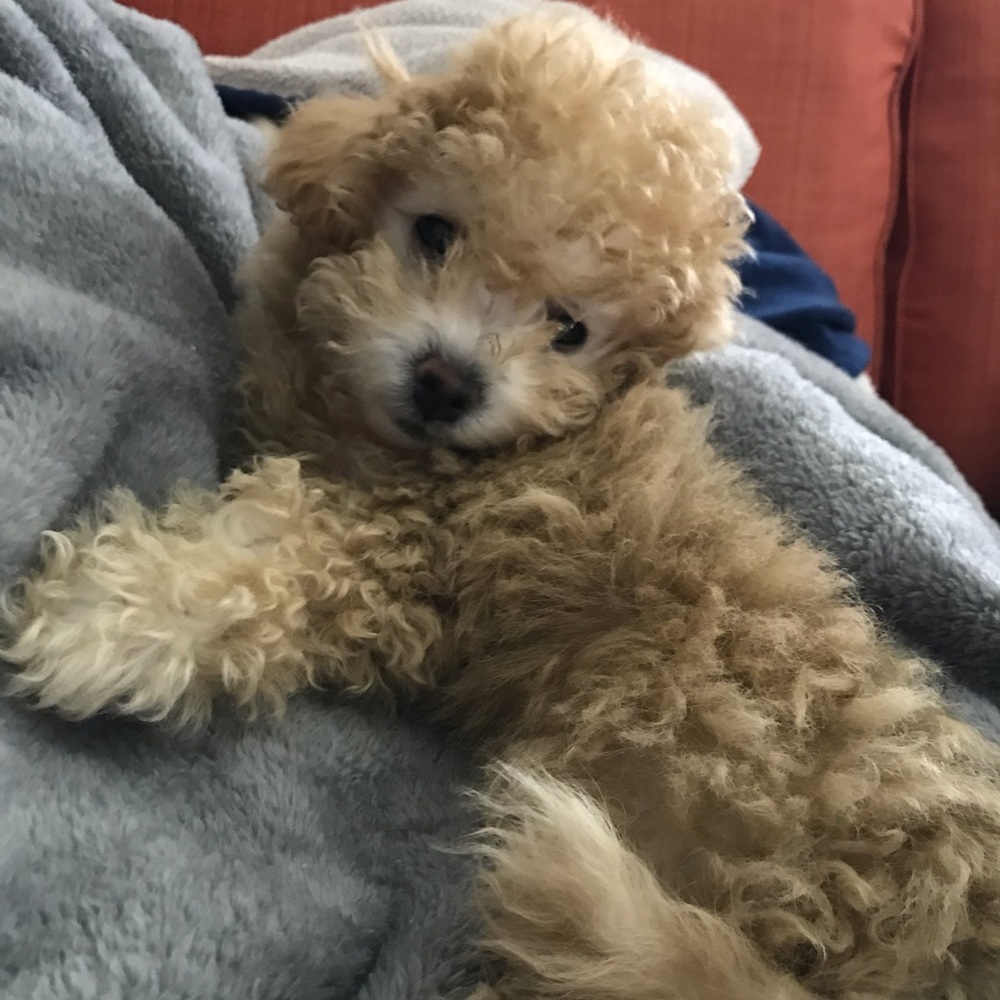 Meet your Posher, Stephen